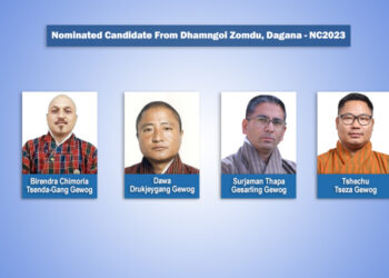 Dagana nominates four candidates for National Council elections