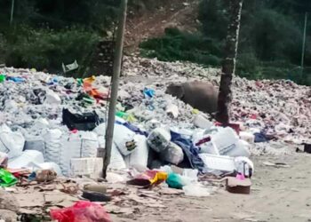 Elephants rummaging through garbage at landfill posing risk to residents in Khandothang village – Samtse