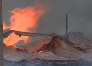 Eight lives lost, 56 fire incidents already this year