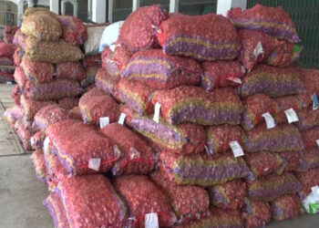 Farmers in Samdrup Jongkhar fetching good ginger price