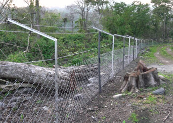 Chain-link fencing expected to keep wild animals at bay – S/Jongkhar