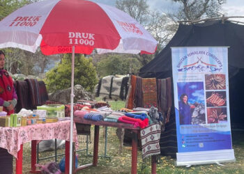 Rhododendron festival opens after three years