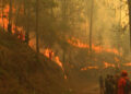 Fire destroys thousands of acres of forest in Monggar