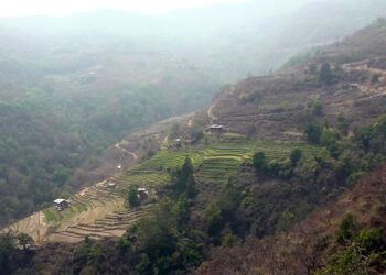 Phangyuel Gewog in Wangdue Phodrang plans to install Animal Intrusion Detection and Repellent System