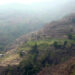 Phangyuel Gewog in Wangdue Phodrang plans to install Animal Intrusion Detection and Repellent System