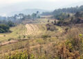 Farmers in Uesarkha desperate for irrigation water – Punakha