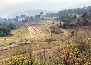 Farmers in Uesarkha desperate for irrigation water – Punakha