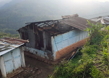 Hailstorm and windstorm affects over 100 households in Samtse