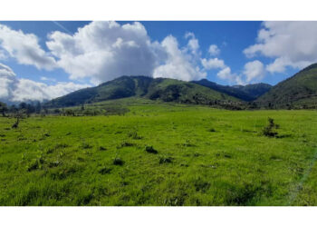 Works on Sephu Solar Power Project to begin by end of April, 2023