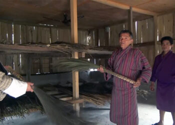 Farmers’ group resumes broom making business in Dechhenling Gewog, P/G
