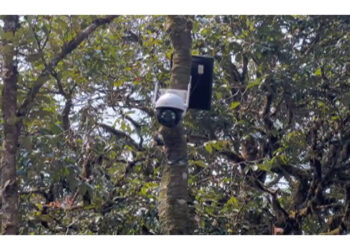 CCTV cameras installed along highway between Punakha and Thimphu