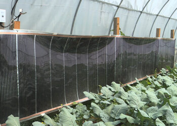 Gasa pilots infrared heating system in greenhouse to boost vegetable production