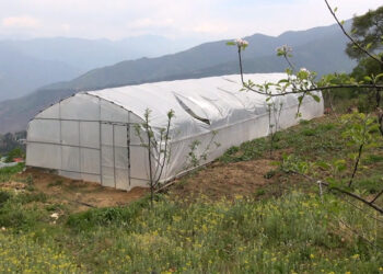 Greenhouse plastic sheet damaged within a year, farmers request replacement – Trashigang