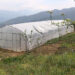 Greenhouse plastic sheet damaged within a year, farmers request replacement – Trashigang