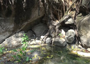 Chhoekhorling residents seek to revive Menchhu