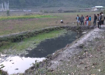 Dechhenling Gewog in Pema Gatshel plans to start homestay