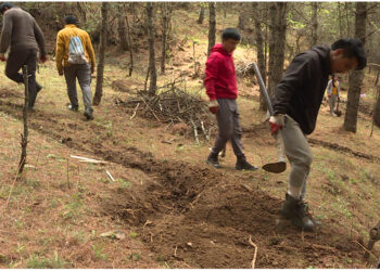 Springshed revival hopes to prevent water sources from drying