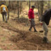 Springshed revival hopes to prevent water sources from drying