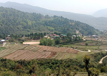 Land development benefits Trashi Yangtse farmers