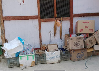 Residents of Wangringmo and Doksum town in Trashi Yangtse facing waste management issues