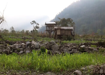 Farmers await approvals to construct house on wetland – Pema Gatshel