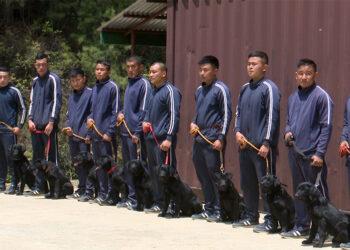 RBP’s Canine Unit: tracking crimes with the help of man’s best friend