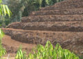 Land management helps farmers to cultivate more vegetables – SJ