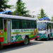 Eastbound public transport busses beautified with artworks