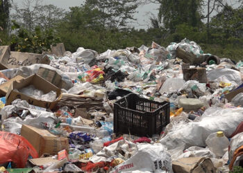 Tashichhoeling residents struggle with garbage pile-up due to broken waste truck