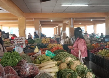 Trongsa vegetable vendors ask for cold store facility