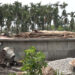 Tashichhoeling’s longstanding water woes expected to end
