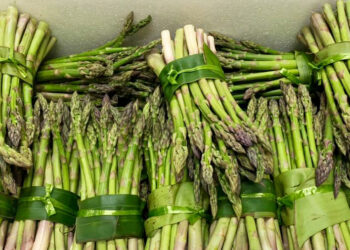 Expanding agricultural exports to international markets through National Organic Flagship programme