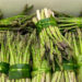 Expanding agricultural exports to international markets through National Organic Flagship programme