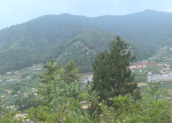 Rising crime sparks demand for community police stations in Chamgang and Hongtsho-Yoeselpang- Thimphu