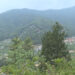 Rising crime sparks demand for community police stations in Chamgang and Hongtsho-Yoeselpang- Thimphu