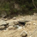 Two contract works terminated in Lhuentse’s Minjey Gewog