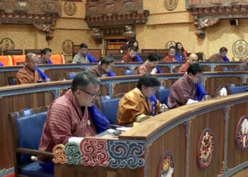 National Council members raise concerns about complexity of certain sections of NDI Bill