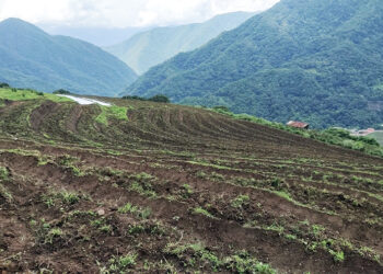 Water scarcity hampers paddy transplantation in Namjur village – Zhemgang