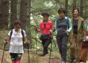 Government announces three new SDF incentives to encourage long-stay visits