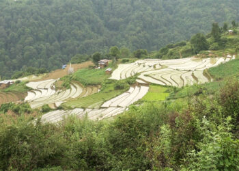 Farmers reaping benefits from Desuung water project in Trashi Yangtse