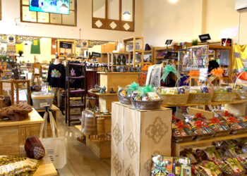 Bhutan CSI Association formed to boost small industries & support entrepreneurs