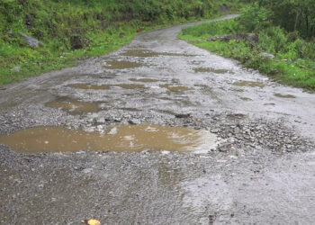 Dangchhu Gewog Centre road in need of maintenance