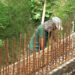 Construction of Gelephu dry port on track