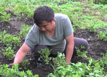 Thriving through horticulture, a successful farmer’s journey