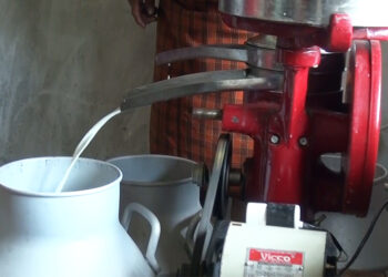 New milk processing unit boosts dairy farming and productivity – Pema Gatshel