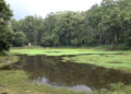 Pakhadura Lake’s eco-park hopes to empower locals and boost ecotourism in Samtse