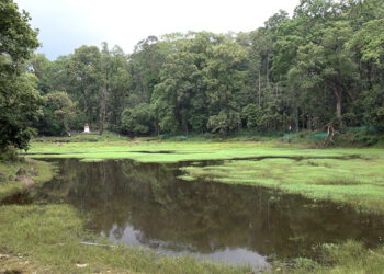 Pakhadura Lake’s eco-park hopes to empower locals and boost ecotourism in Samtse