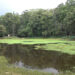 Pakhadura Lake’s eco-park hopes to empower locals and boost ecotourism in Samtse