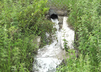 Irrigation water shortage impacts paddy growers in Tsephu village, Punakha