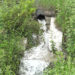 Irrigation water shortage impacts paddy growers in Tsephu village, Punakha